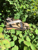 Linea Leo Sandal