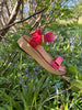 Line Flame Sandal